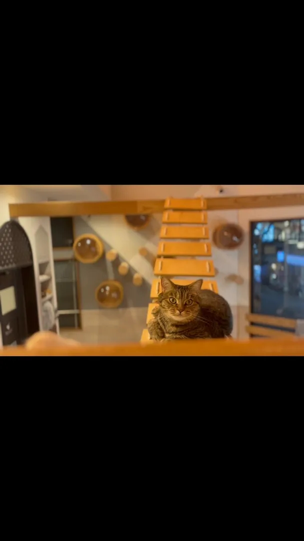 投稿の写真