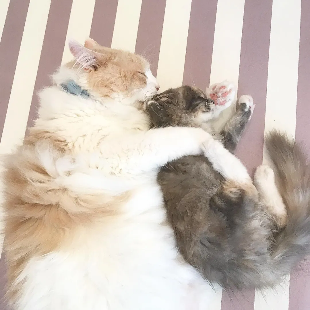 投稿の写真3