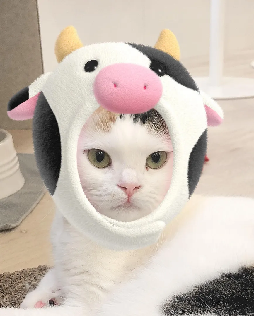 投稿の写真2