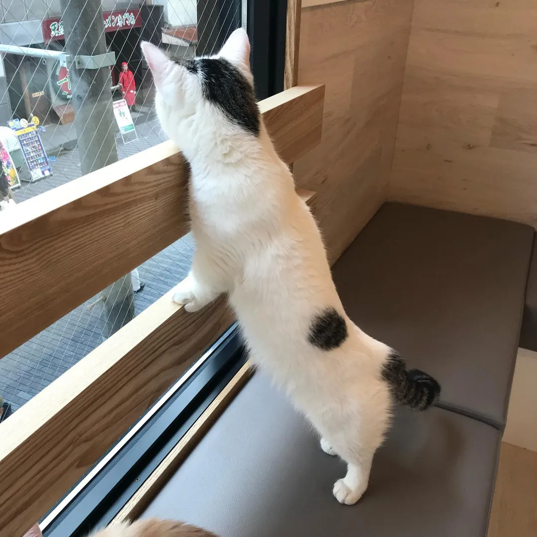 投稿の写真2