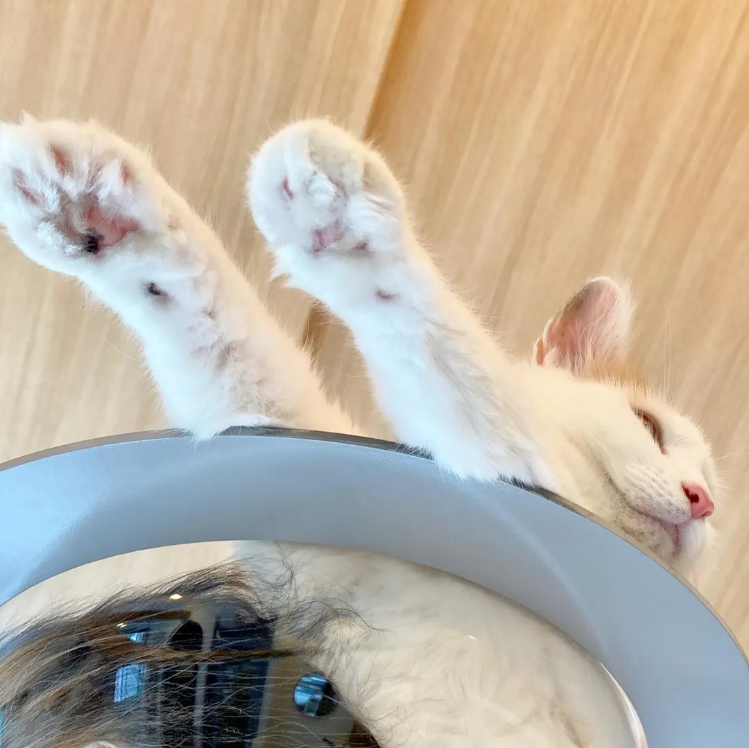 投稿の写真3