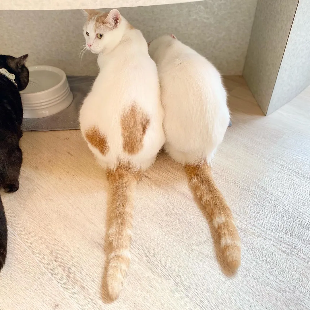 投稿の写真2