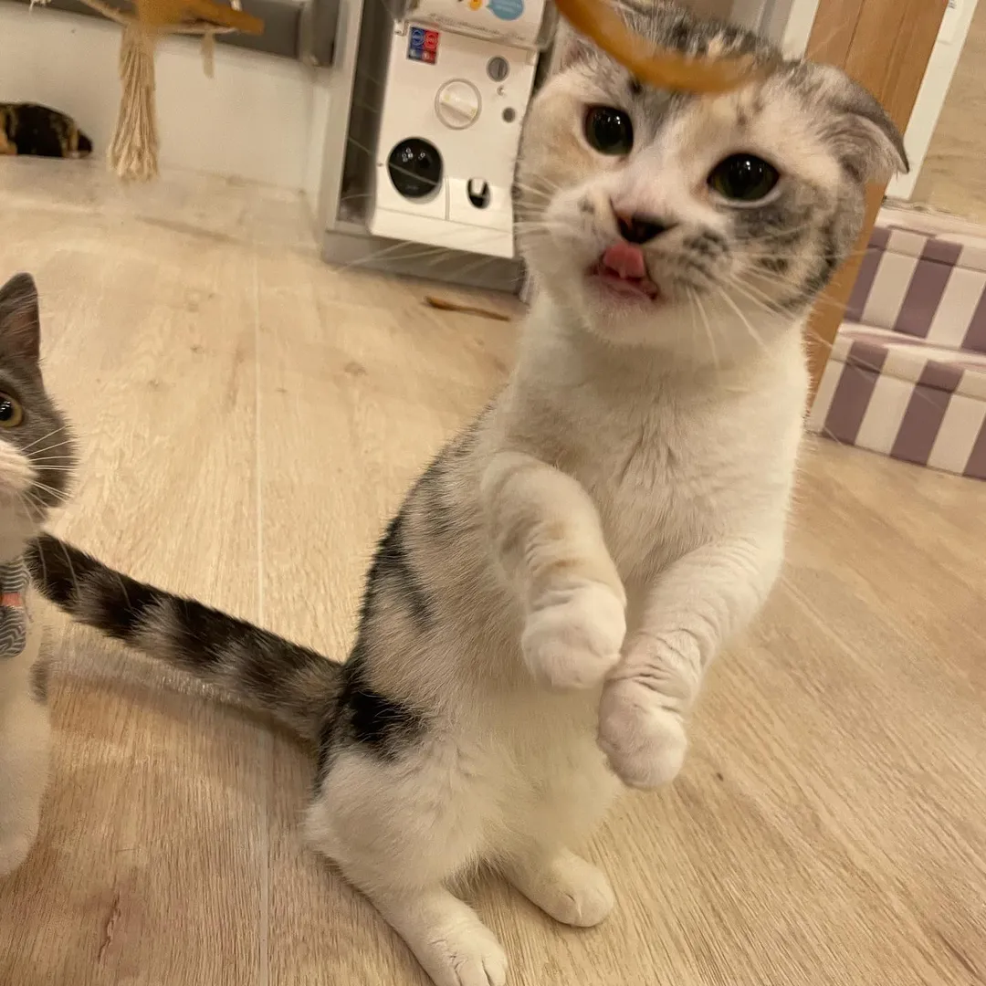 投稿の写真2