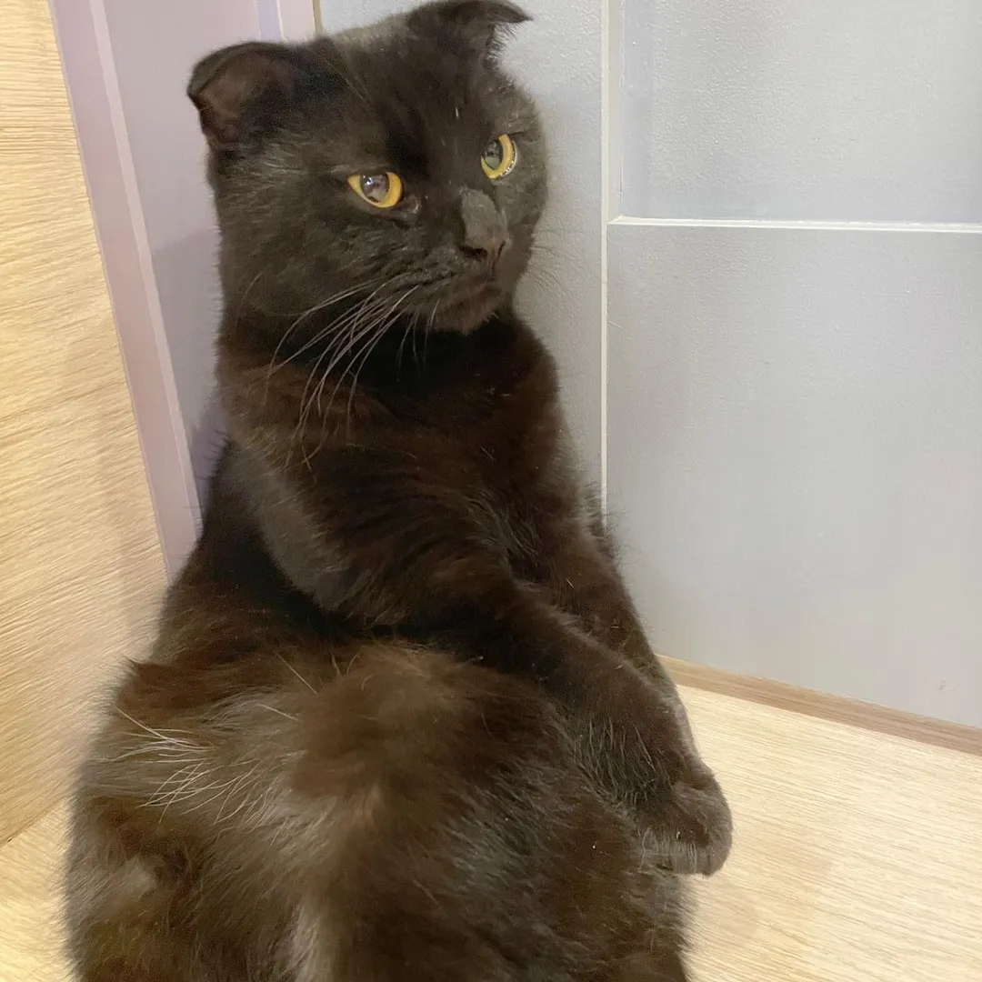 投稿の写真1