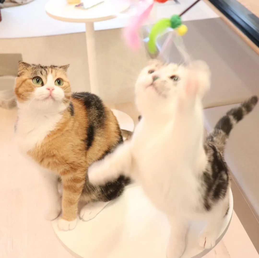 投稿の写真2
