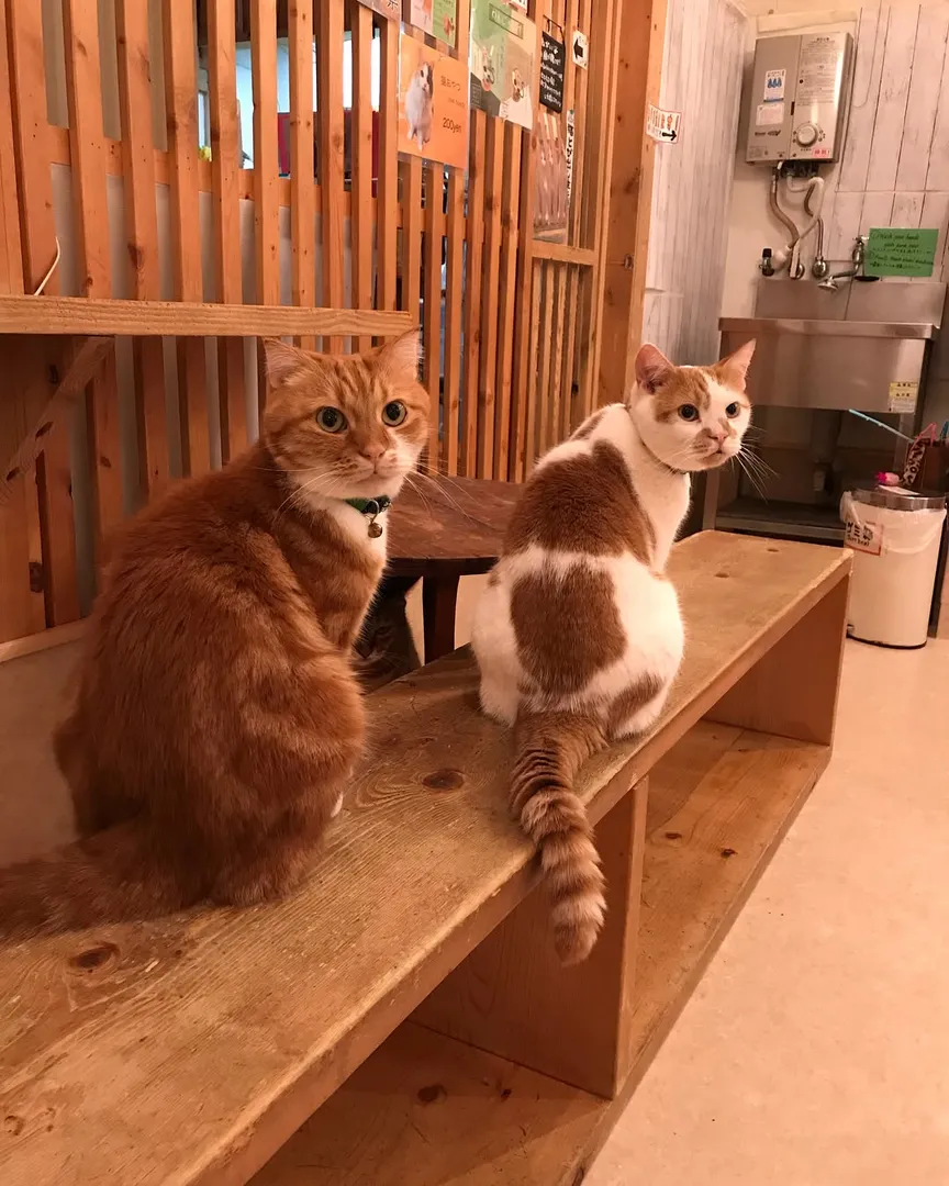 投稿の写真2