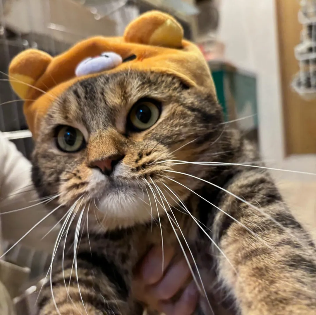 投稿の写真3