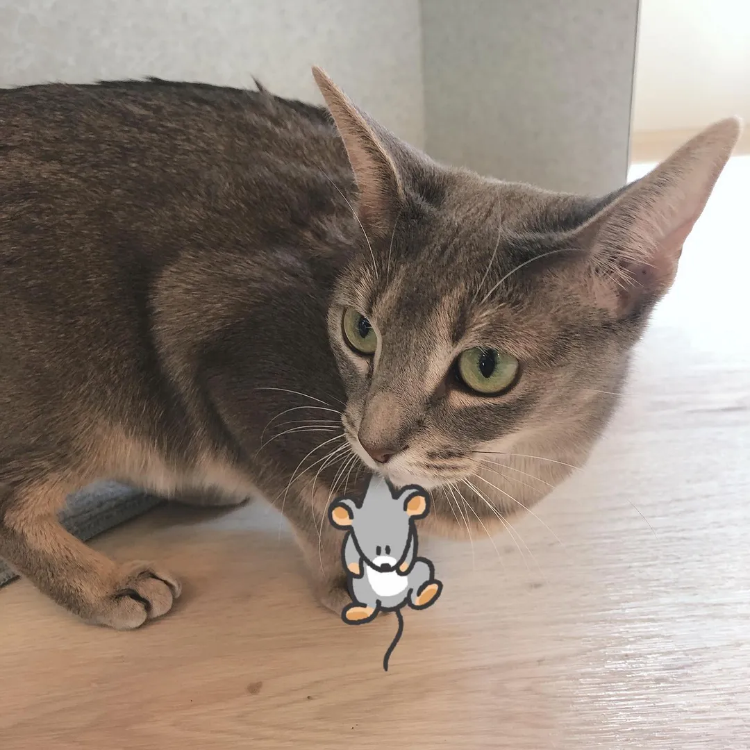 投稿の写真4