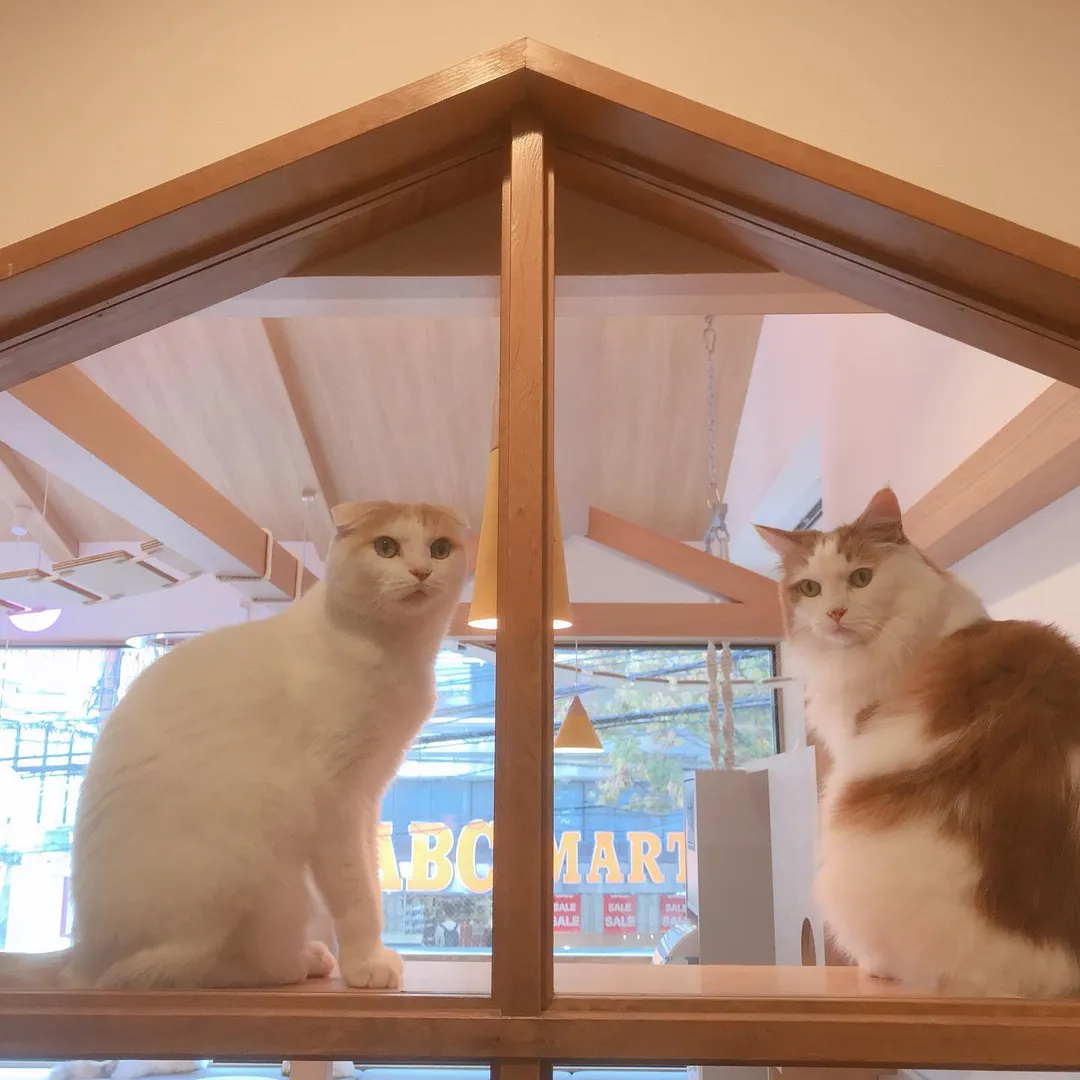 投稿の写真2