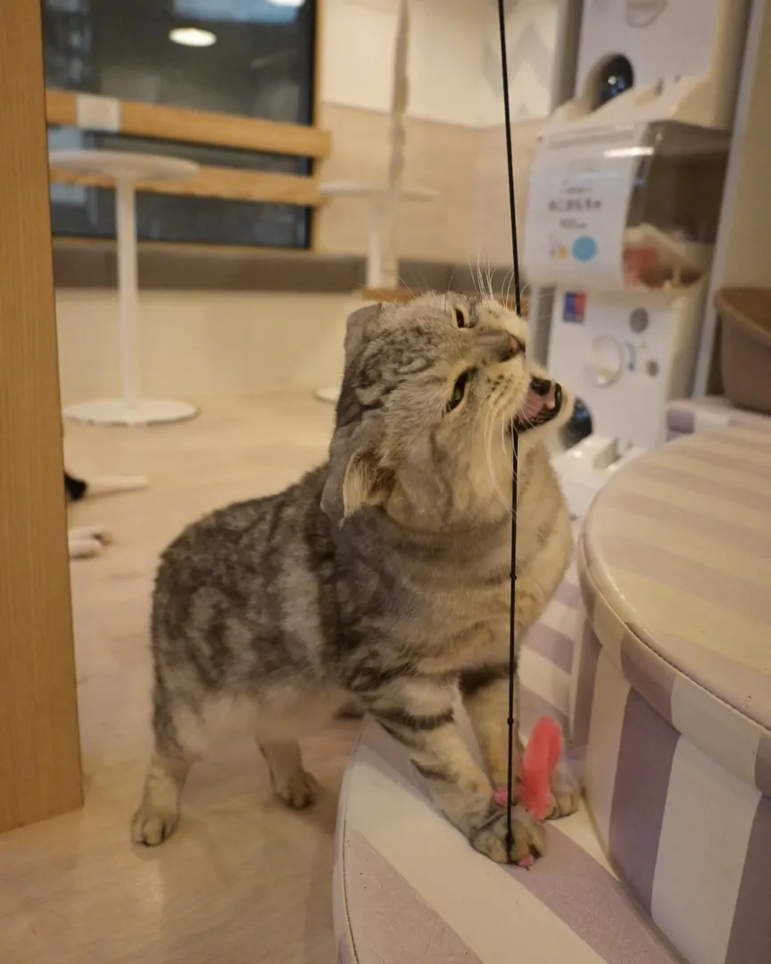 投稿の写真3