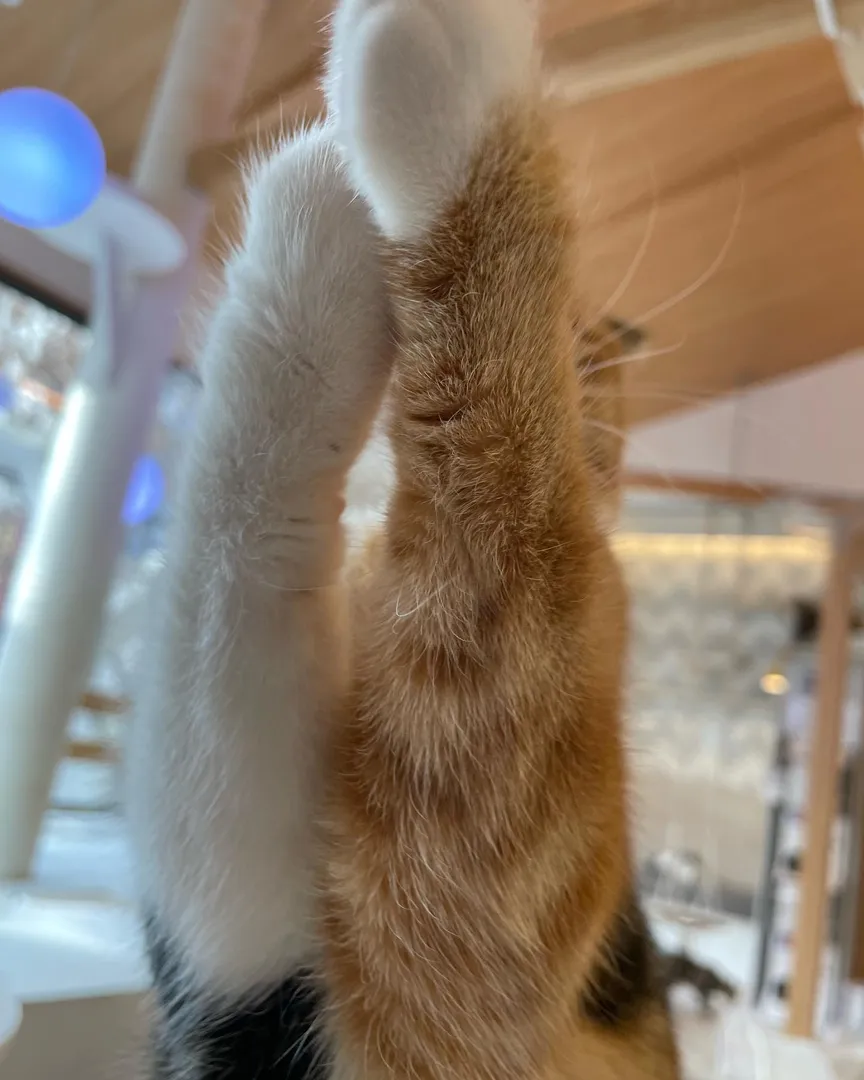 投稿の写真2
