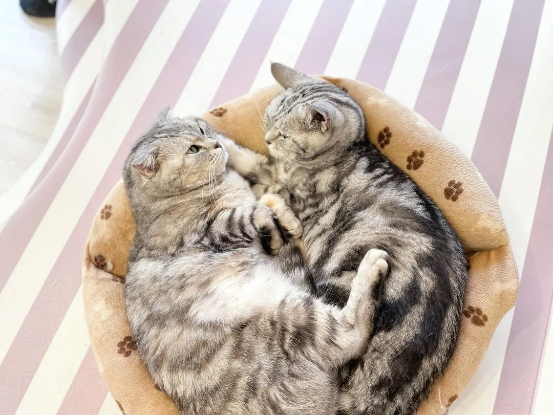 投稿の写真2