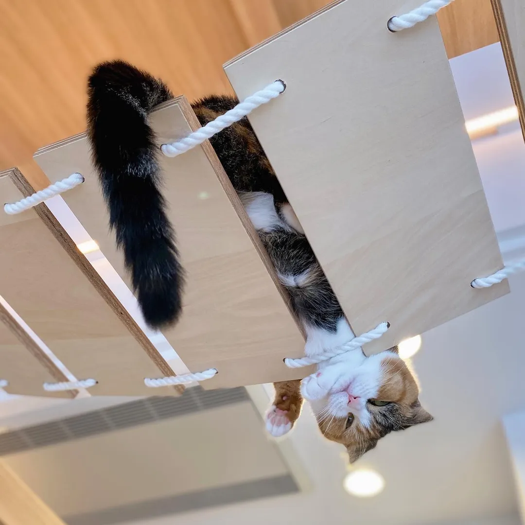 投稿の写真3