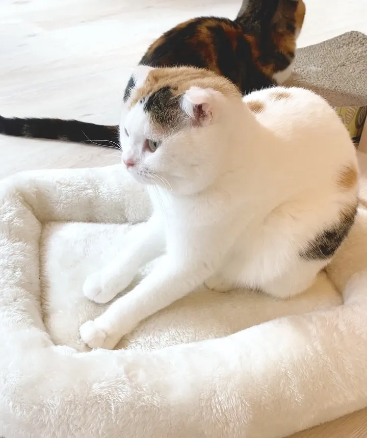 投稿の写真