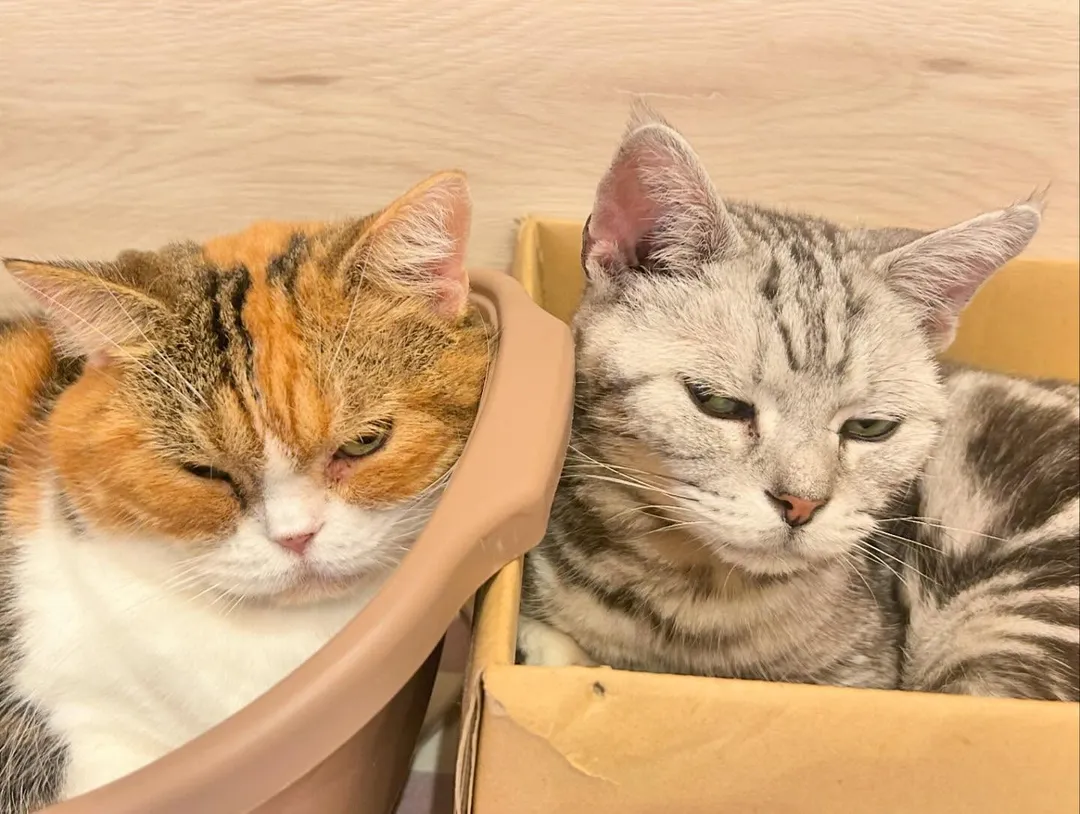 投稿の写真3