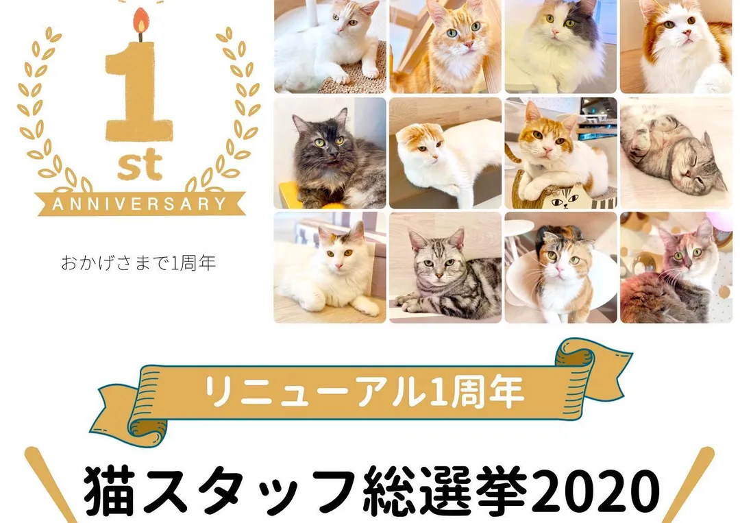 投稿の写真1