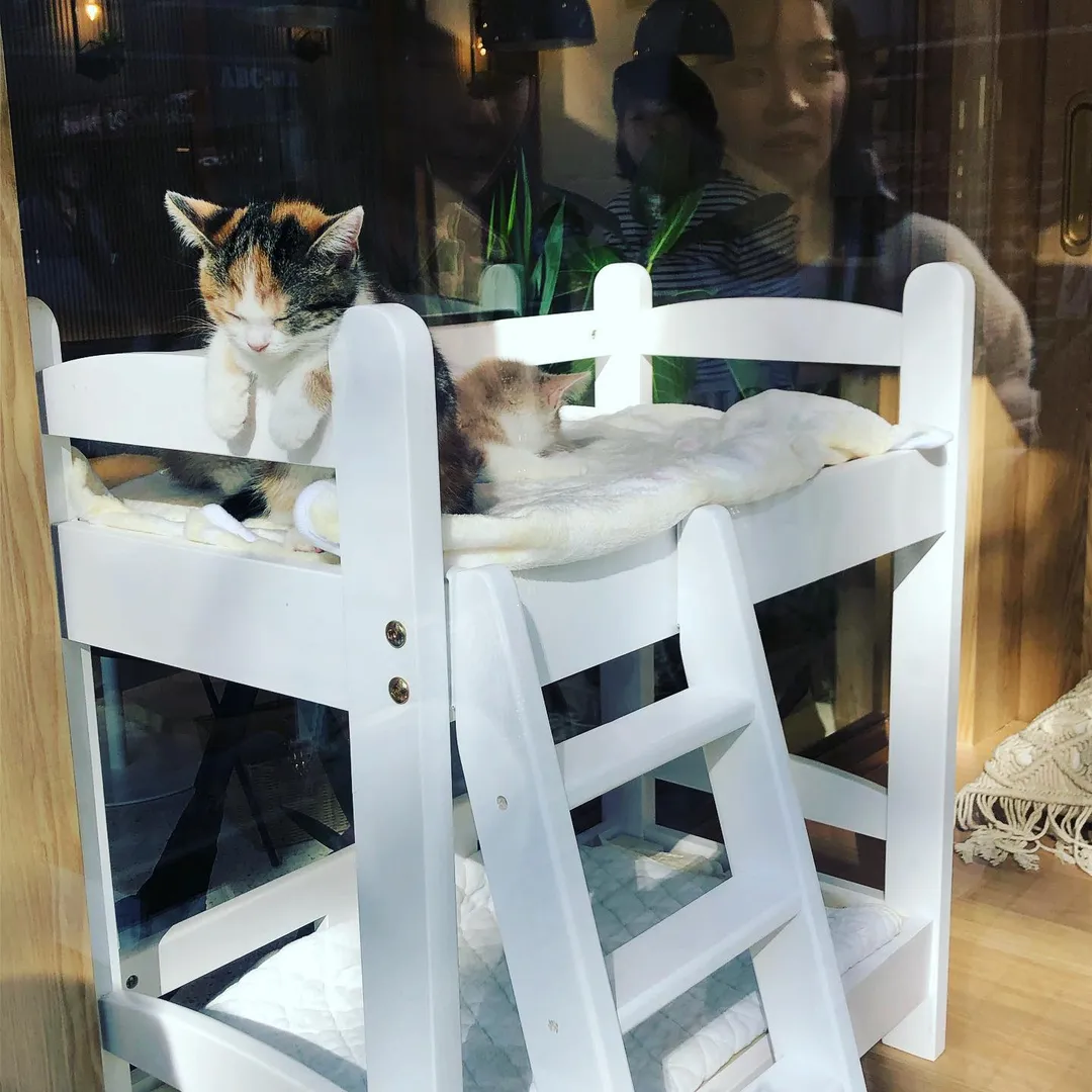 投稿の写真2