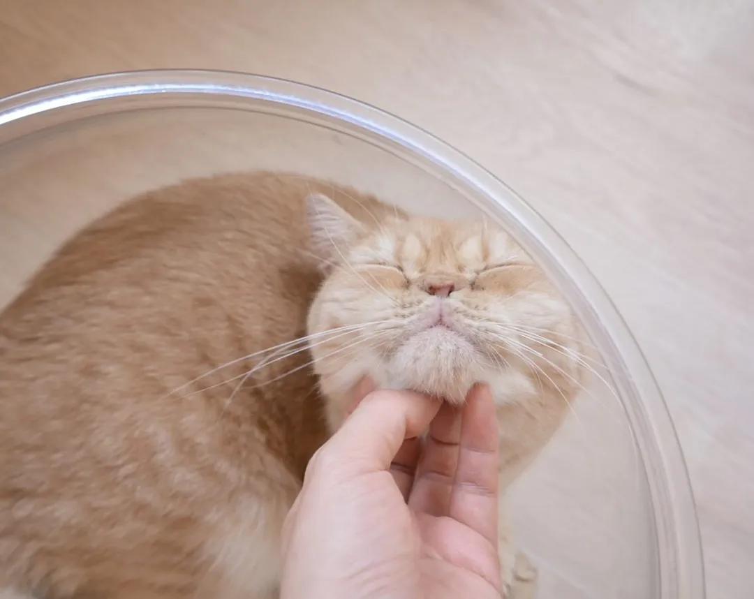 投稿の写真