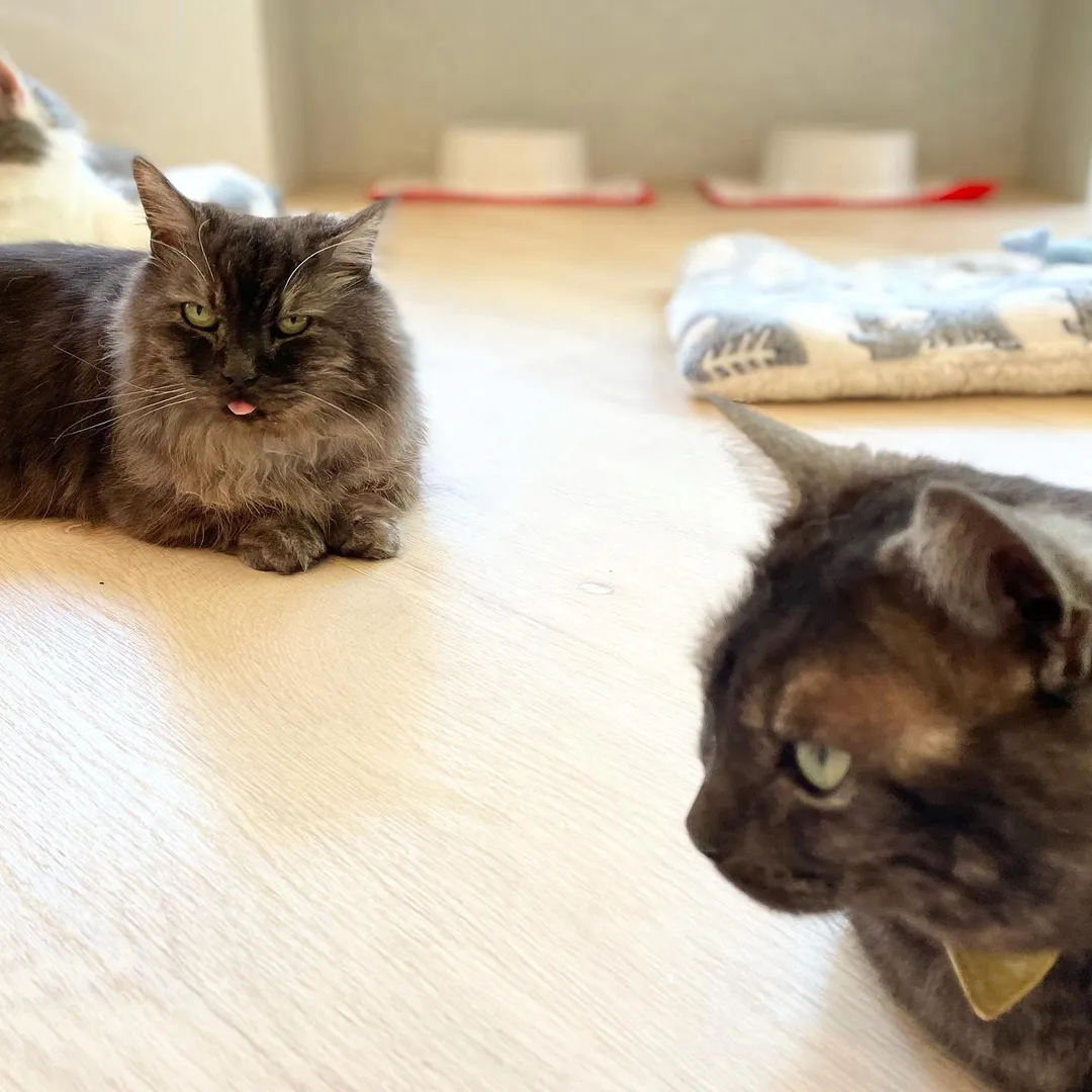 投稿の写真4