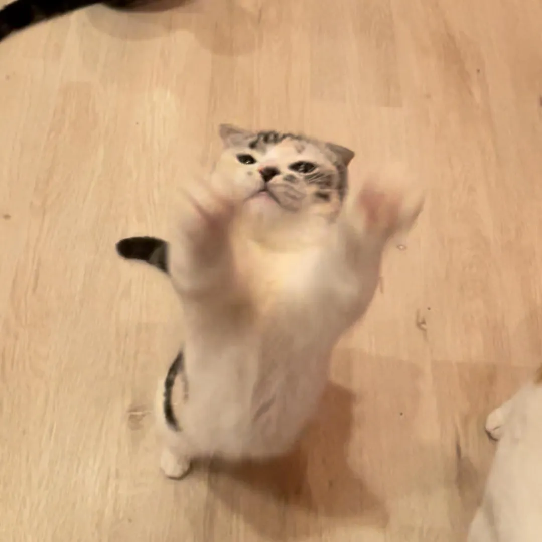投稿の写真3