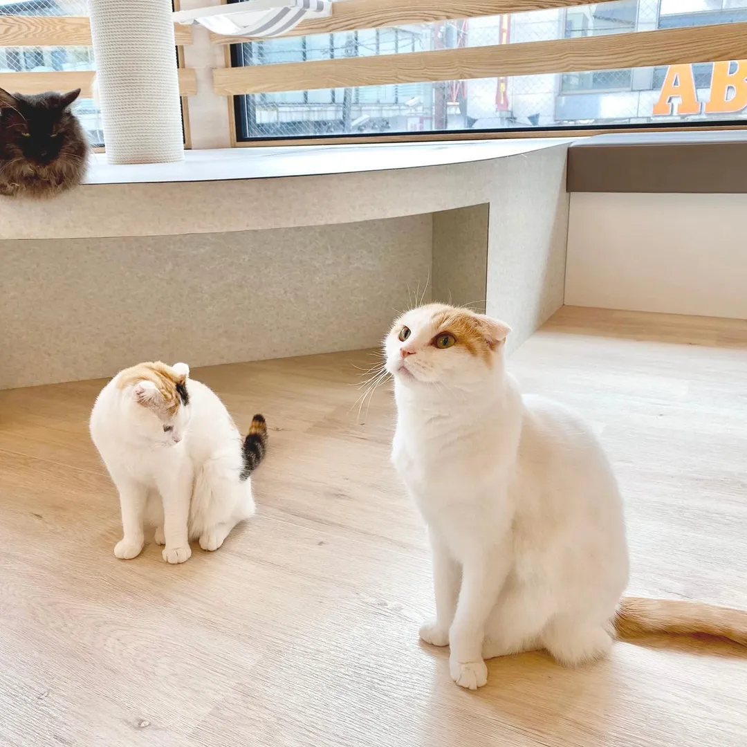 投稿の写真2