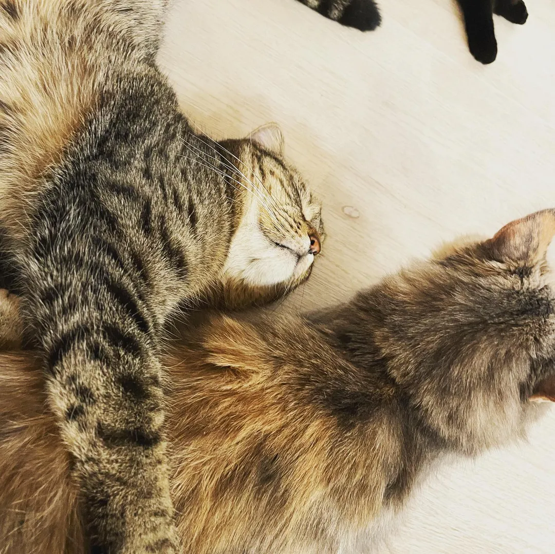 投稿の写真2