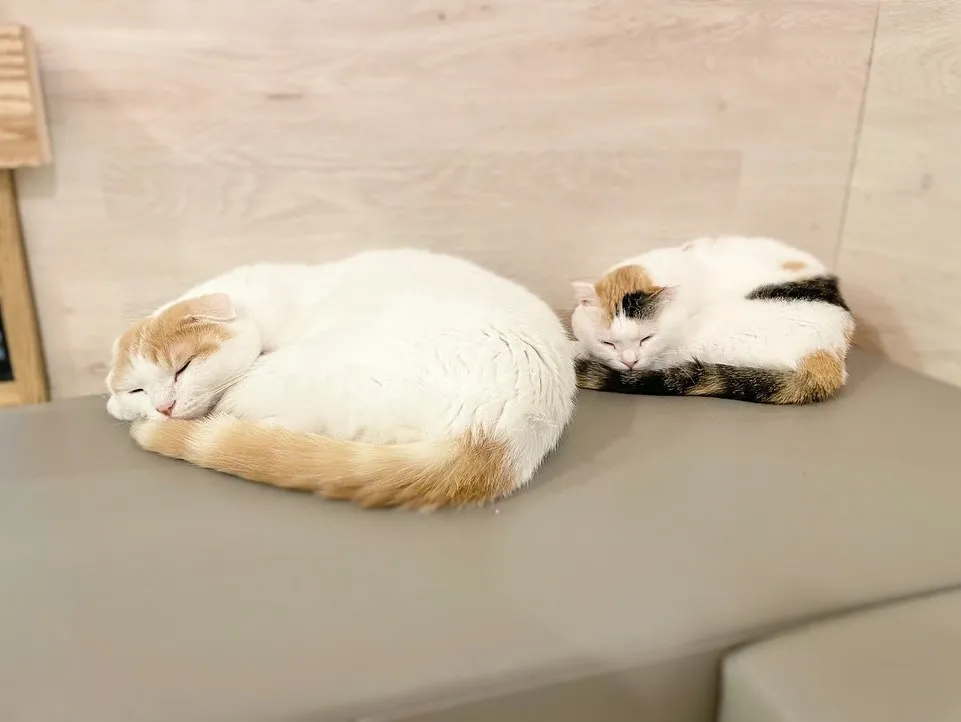 投稿の写真2