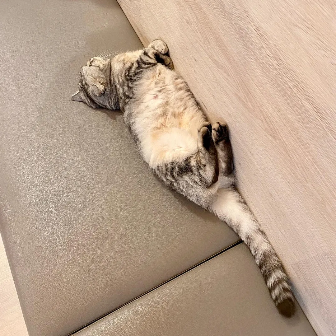 投稿の写真2
