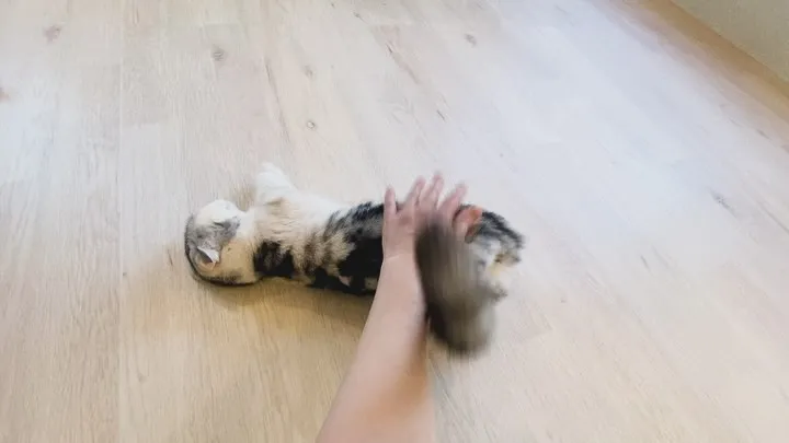 投稿の写真2