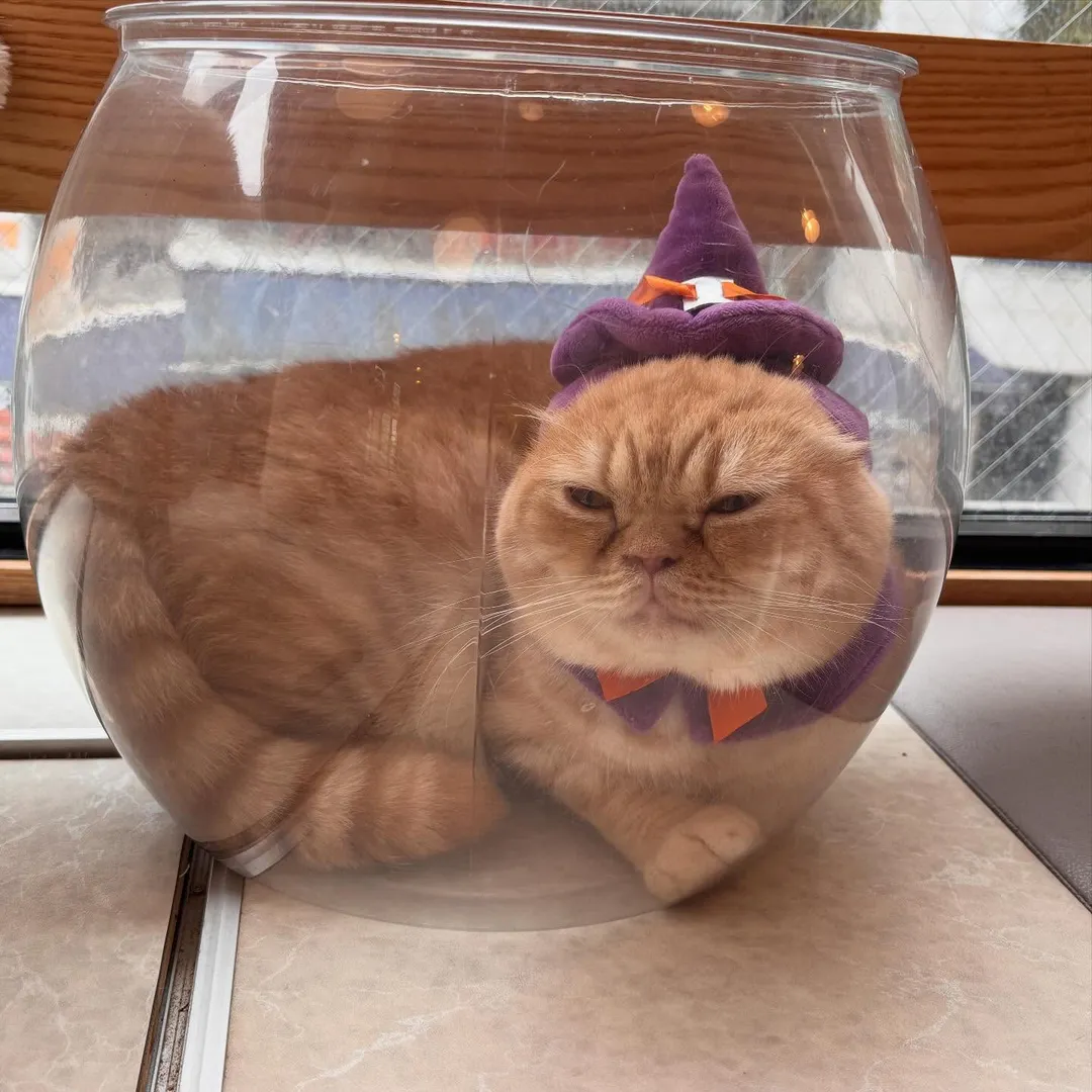 投稿の写真3