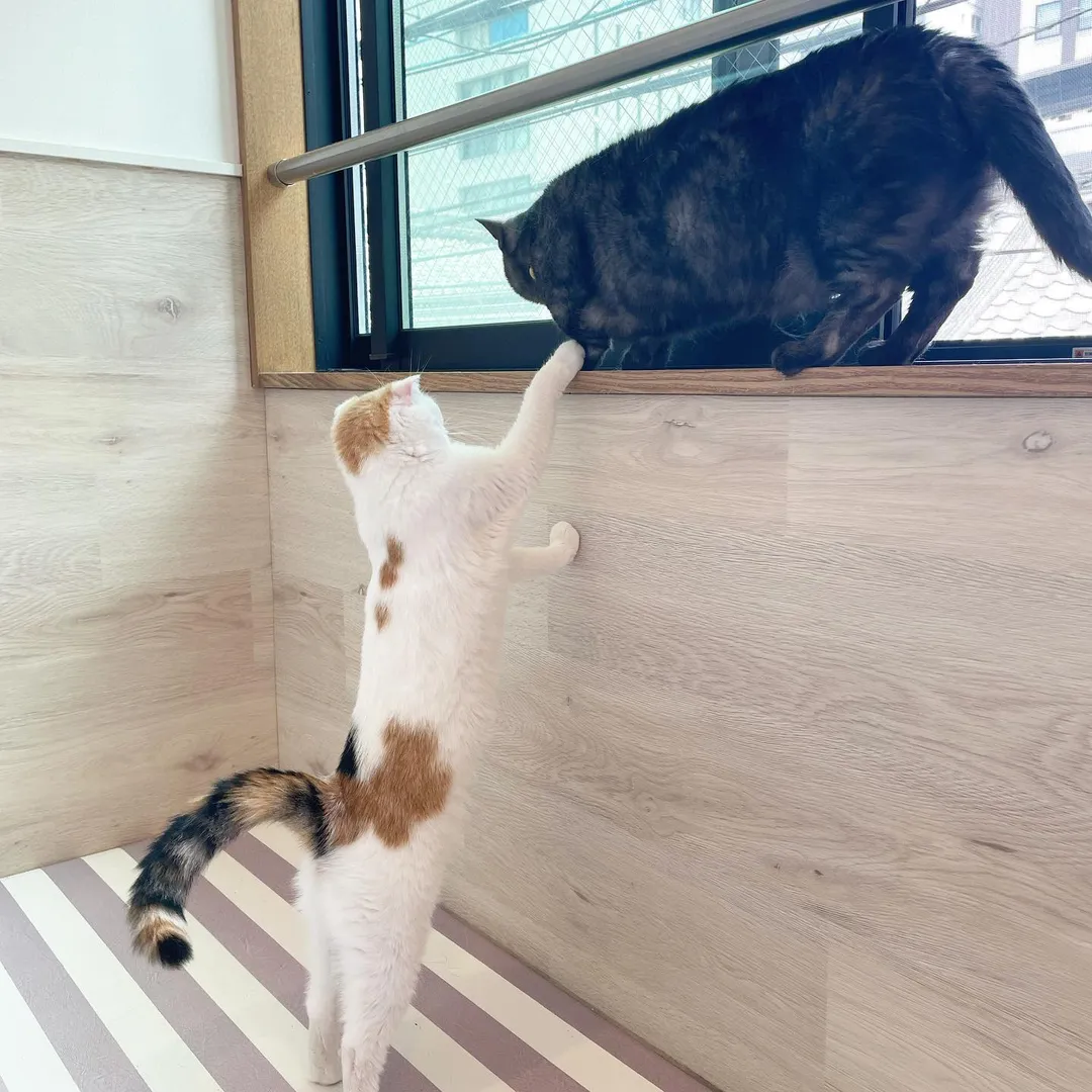 投稿の写真7