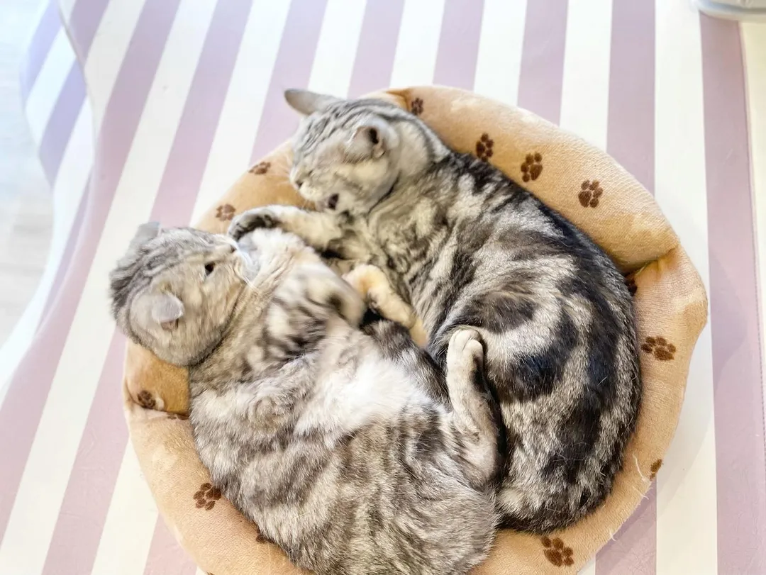 投稿の写真2