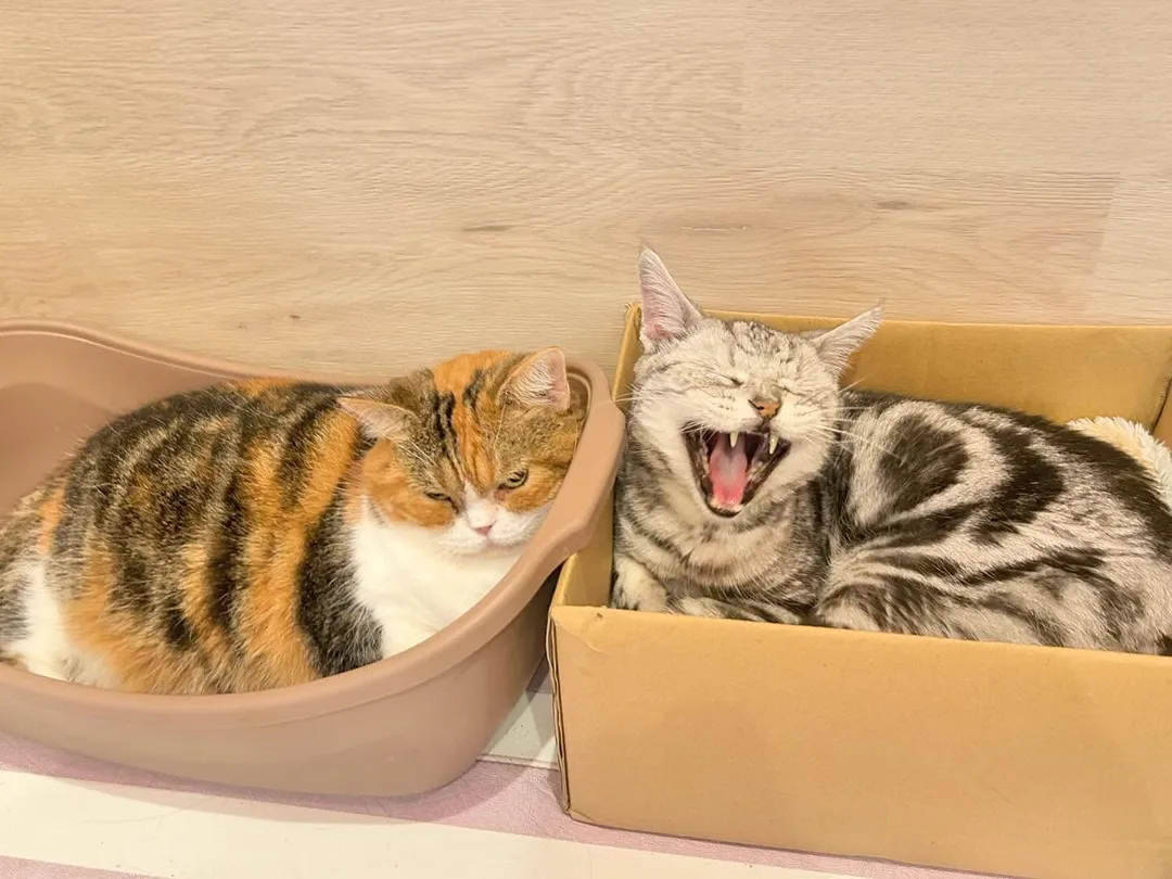 投稿の写真2
