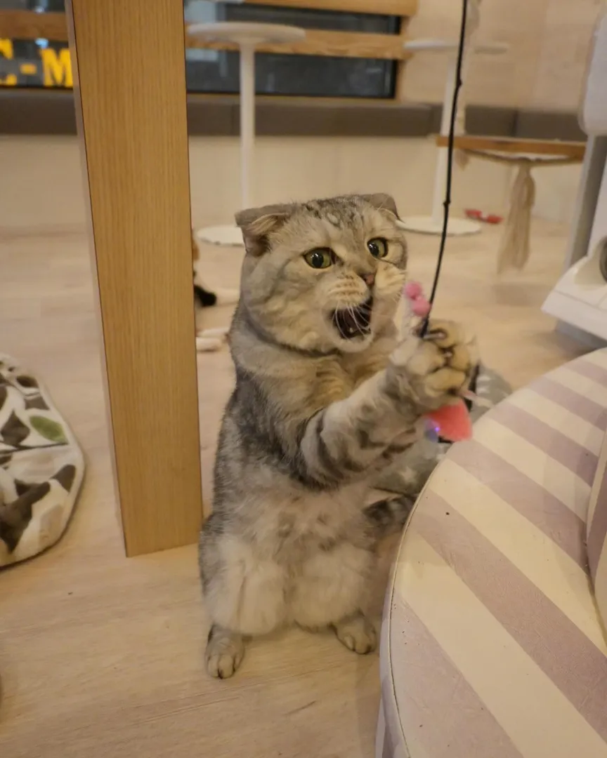 投稿の写真1
