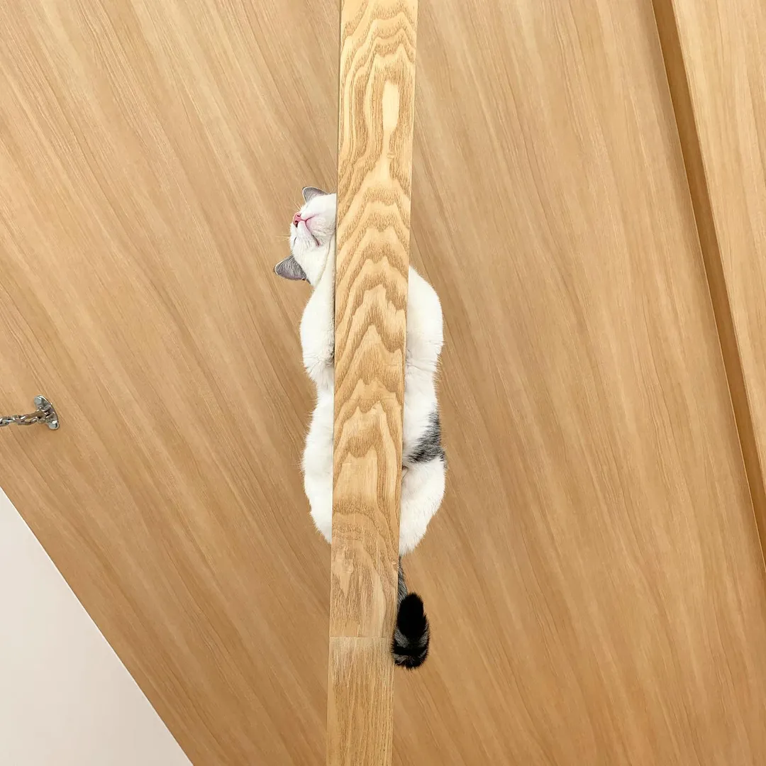 投稿の写真7