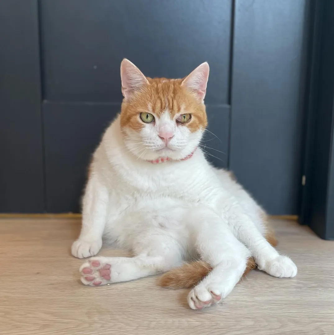 投稿の写真2