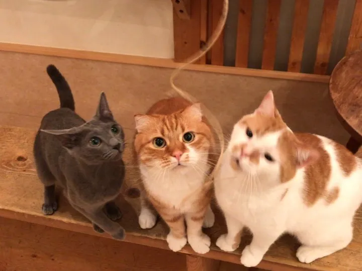 投稿の写真2