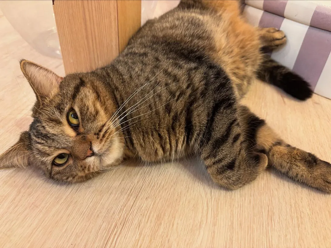 投稿の写真3