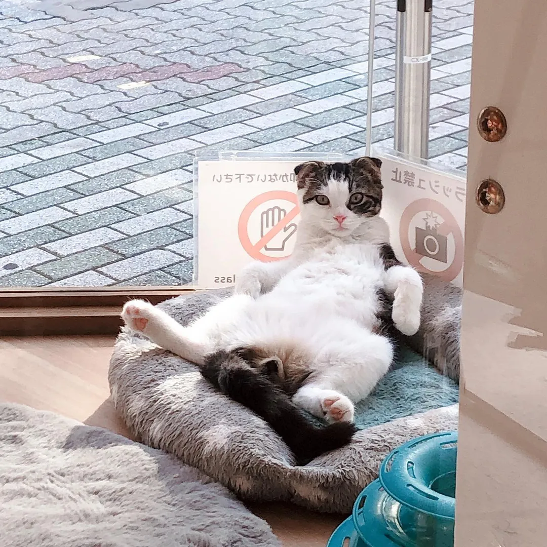 投稿の写真3