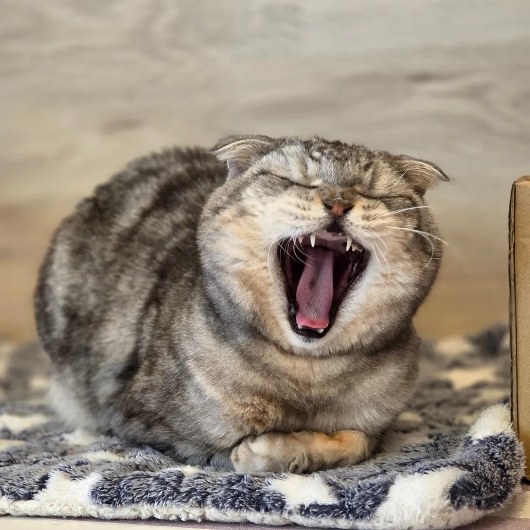 投稿の写真3
