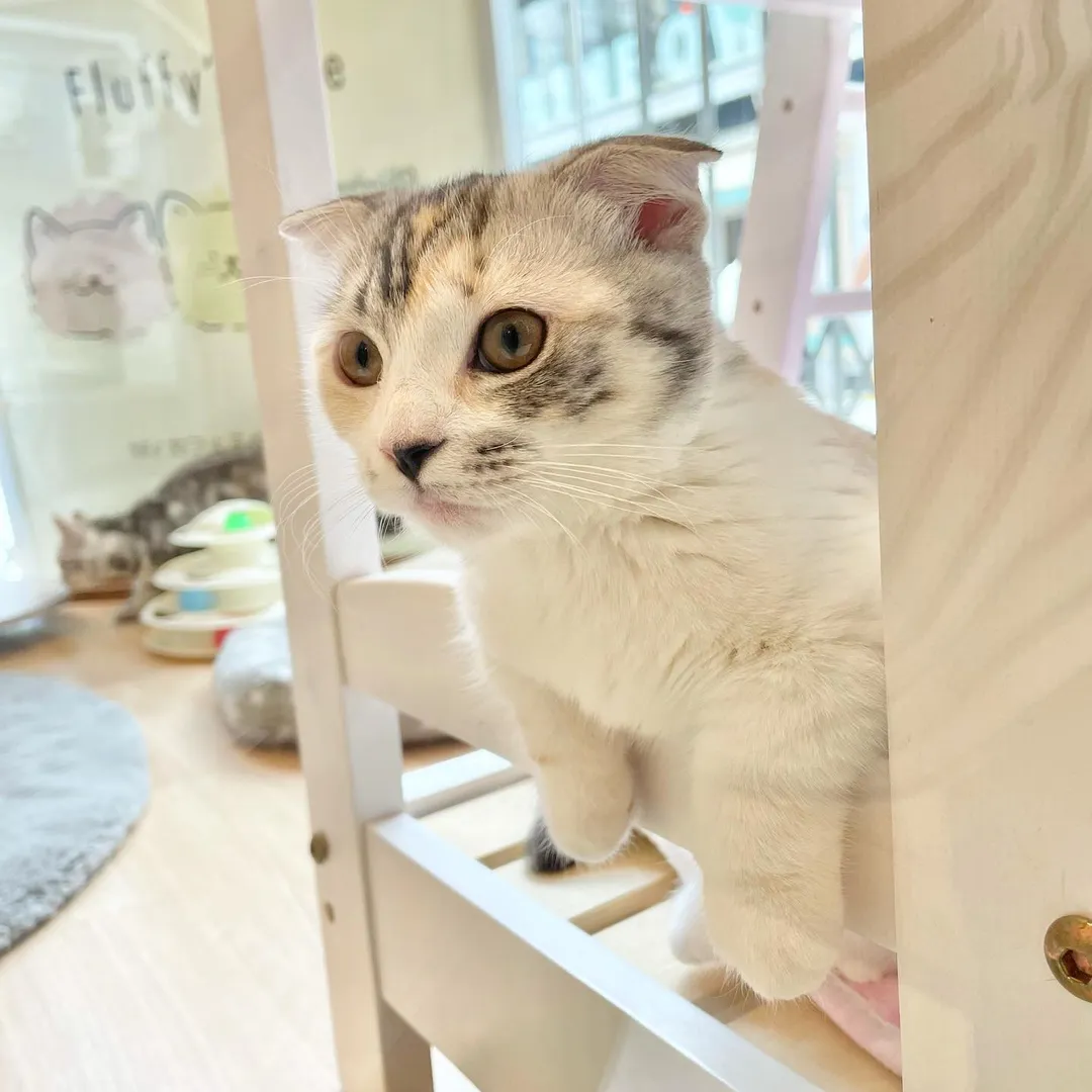 投稿の写真2