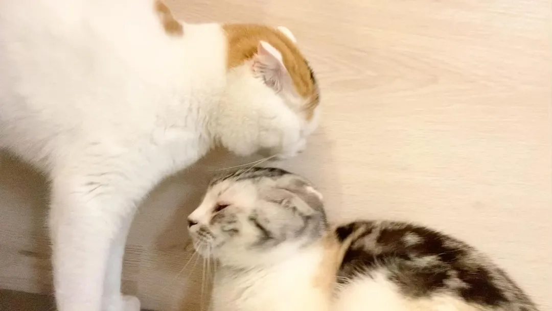 投稿の写真