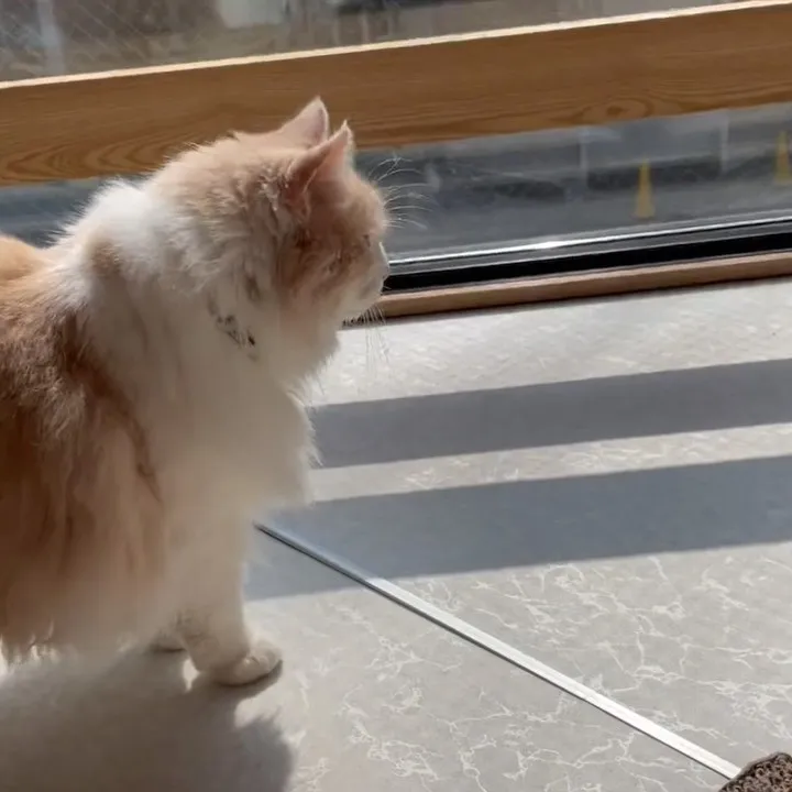 投稿の写真7