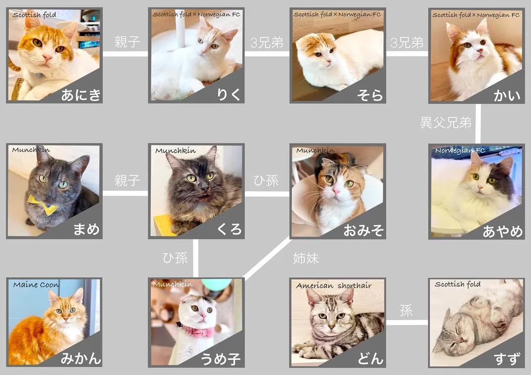 投稿の写真2