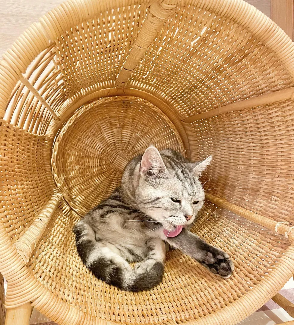 投稿の写真2