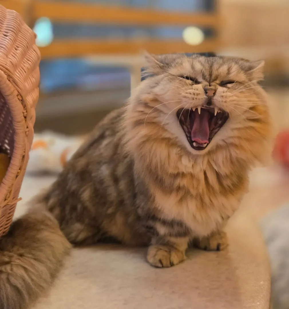 投稿の写真