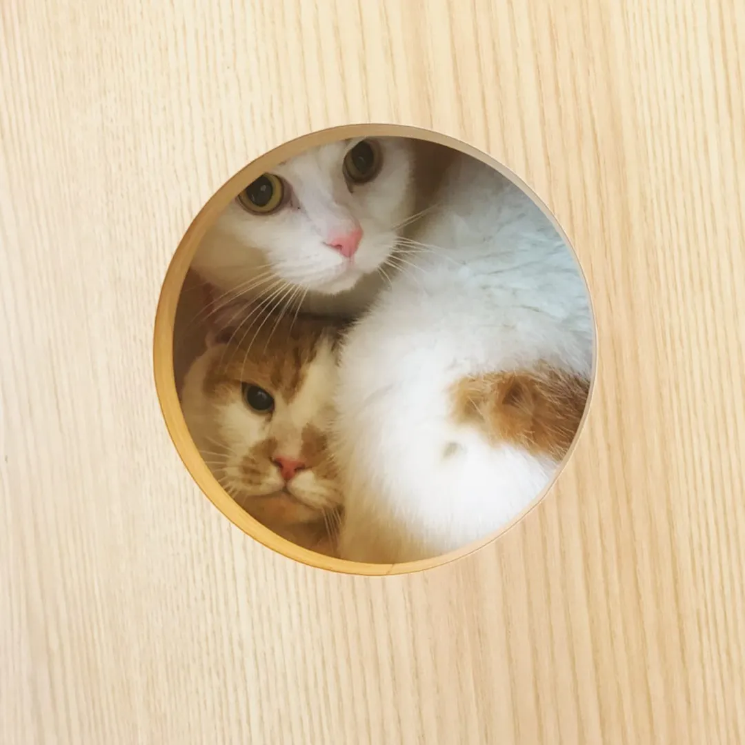 投稿の写真3