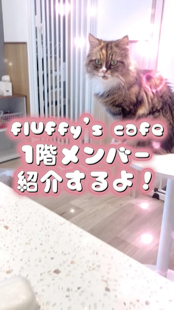 投稿の写真