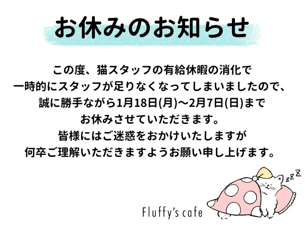 投稿の写真2