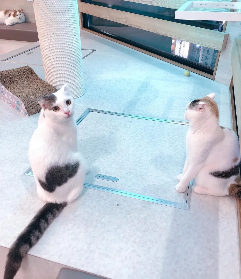 投稿の写真5
